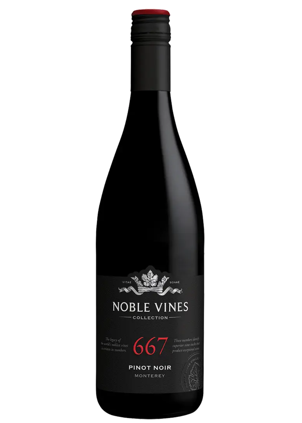 NOBLE VINES 667 PINOT NOIR