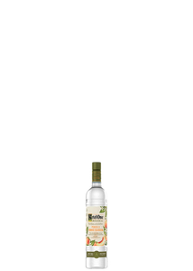 KETEL ONE BOTANICAL PEACH & ORANGE BLOSSOM